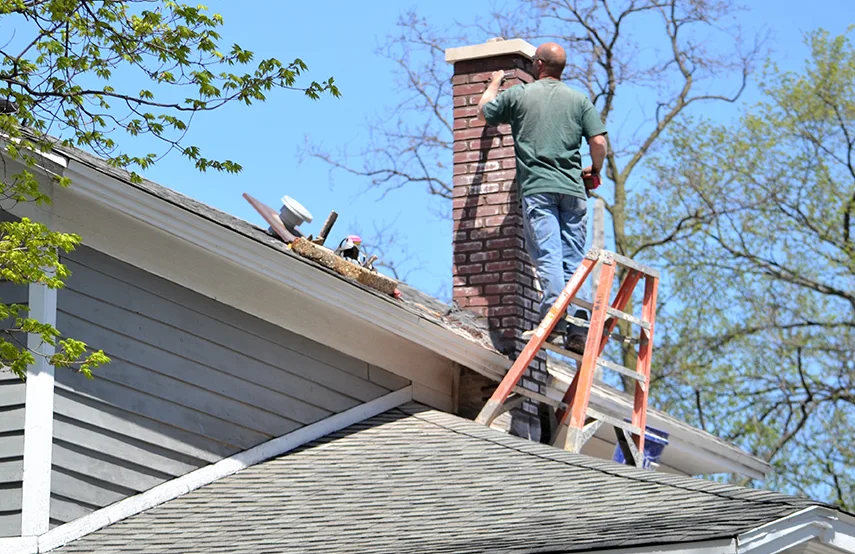 Chimney & Fireplace Inspections Services in Woodbury, MN